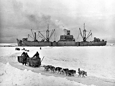 Sled dogs USS Yancey c1947 - Operation Highjump