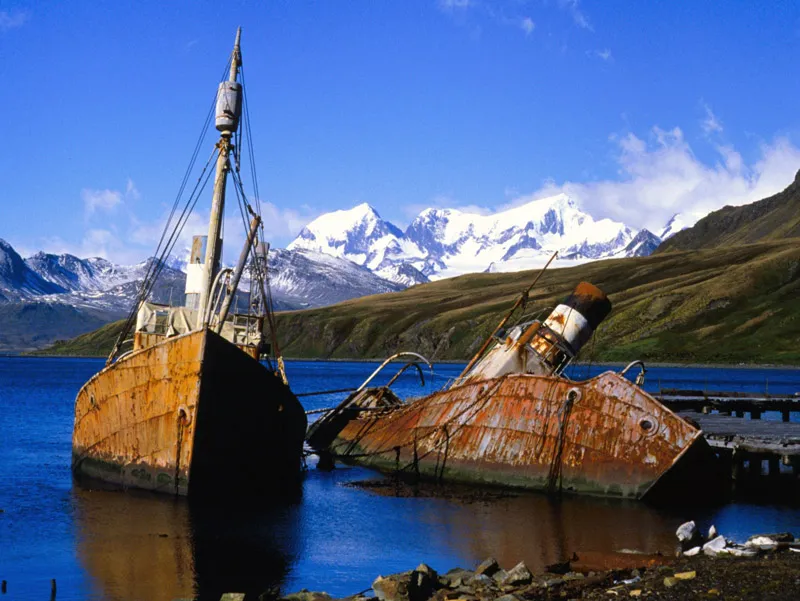 Whale catcher boats