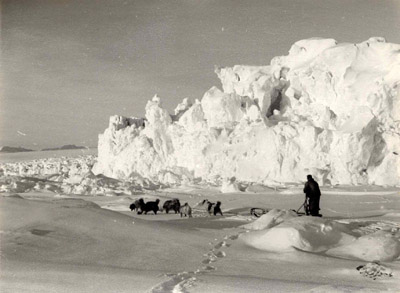 Dog Sledding