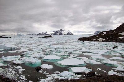 Broken up pack ice, early summer