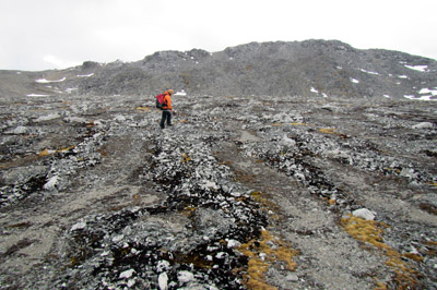 Freeze-thaw rock patterns in scree