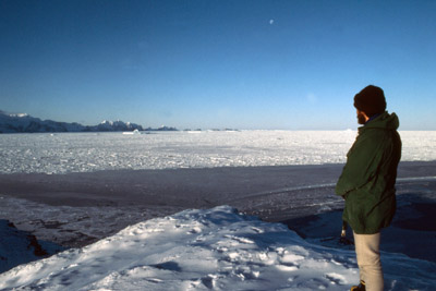 Rusty Bluff, Arrival of Pack-Ice