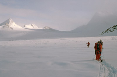 On Coronation Island, Laws Glacier