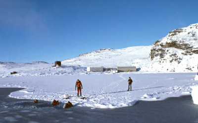 Diving, Ice Edge in factory Cove