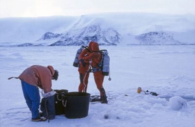 Diving, Preparing to Set a Rope for Fishing