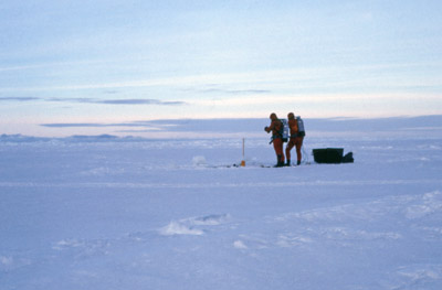 Diving, Preparing to Set a Rope for Fishing