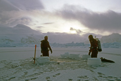 Diving, Preparing to Set a Rope for Fishing