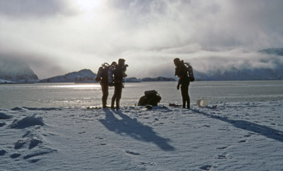 Diving, Ice Edge in factory Cove