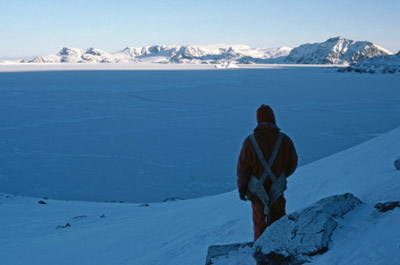 Signy from the Slopes of the Sunshine Glacier