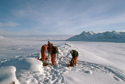 Roping Up to Cross the Laws Glacier