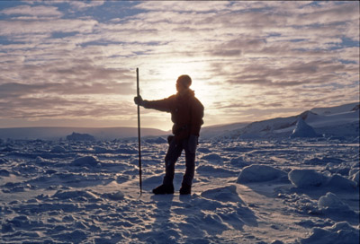 West Coast Sea-Ice