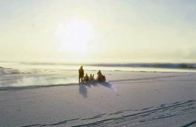 Day Out on a Skidoo and Sledge