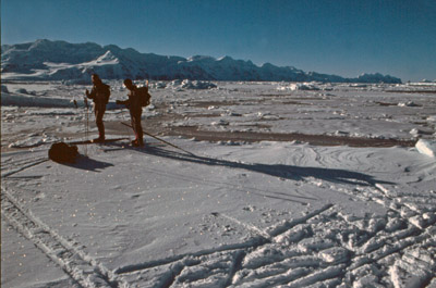 Winter Cross Country Skiing on Sea Ice