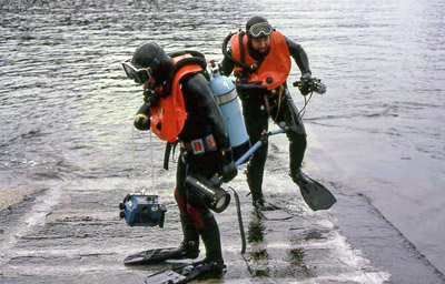 Just like a seal, the Marine Fid is an ungainly beast on land