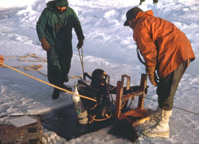 Diver descending through a hole in the sea-ice