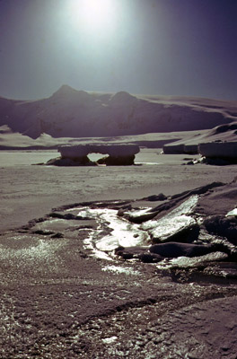 Frozen coastline