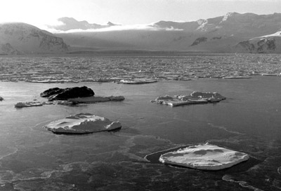 New sea ice and pack ice Borge Bay