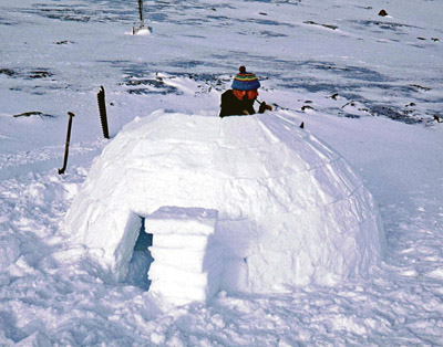 Making an igloo - because he can!