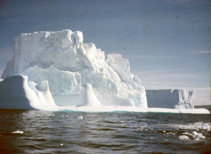 Iceberg from the Biscoe