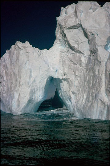 Iceberg from the Biscoe