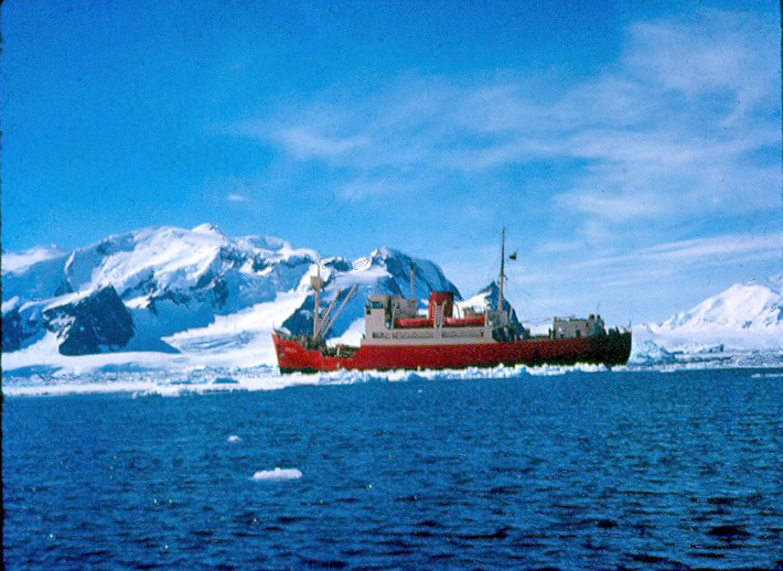 Biscoe amongst sea ice