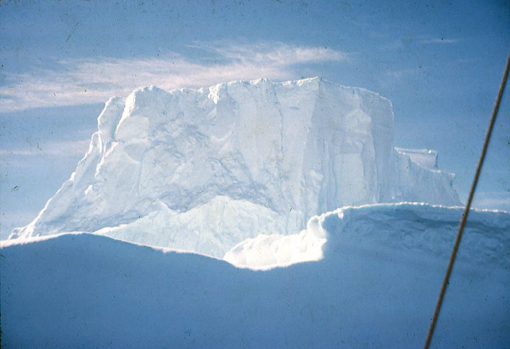 Iceberg from the Biscoe