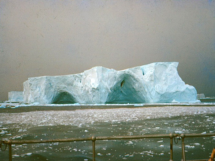 Iceberg from the Biscoe