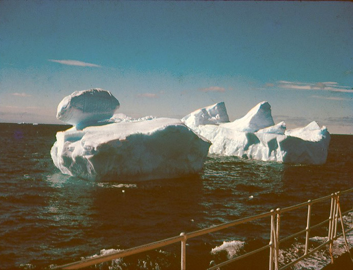 Iceberg from the Biscoe