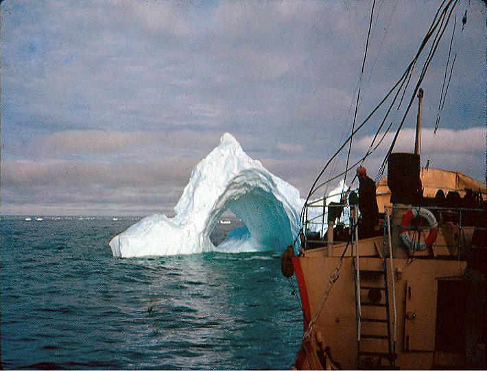 Iceberg from the Biscoe