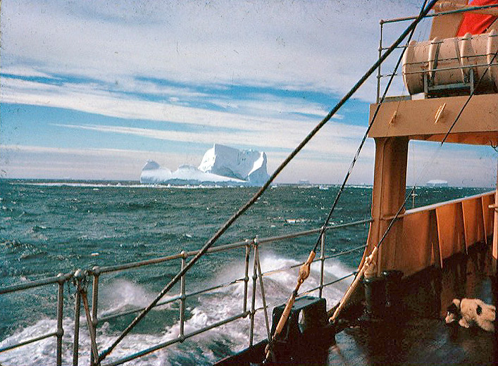 Iceberg from the Biscoe