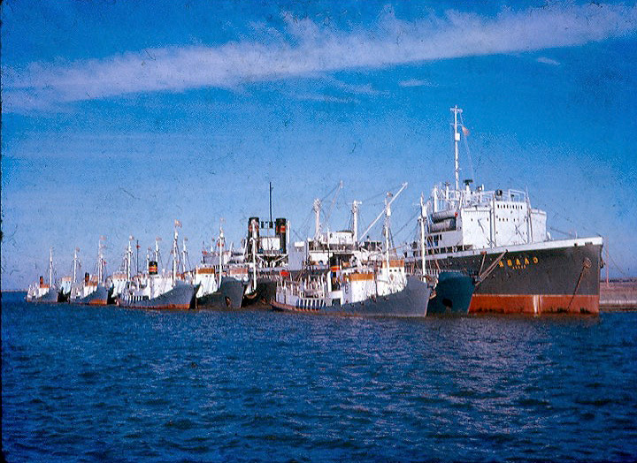 Whale catcher boats and a factory ship