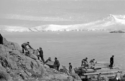 Sled dogs USS Yancey c1947 - Operation Highjump