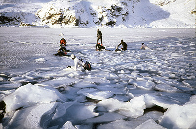 Ice Berg Trapped in Winter Sea Ice