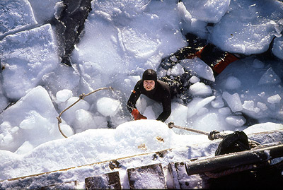 Ice Berg Trapped in Winter Sea Ice