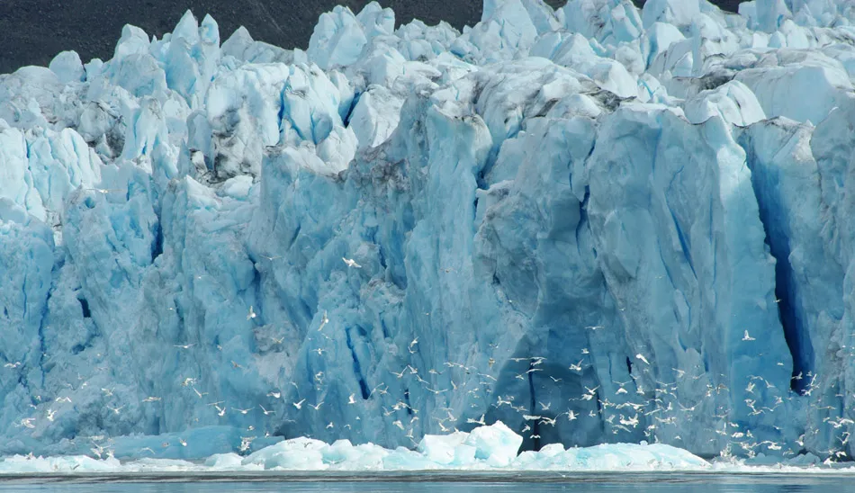 antarctic cruise