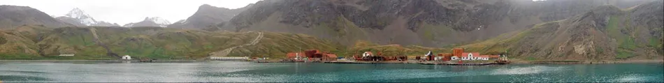 Grytviken South Georgia