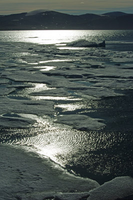 Pack Ice - Baffin Bay