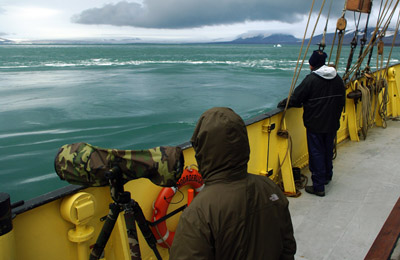 Swirling Seas off Svalbard