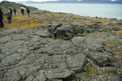 Frost Cracked Rock - Svalbard - 3