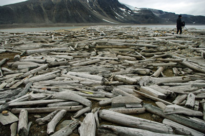 Smeerenburg, Amsterdam Island - Svalbard - 15