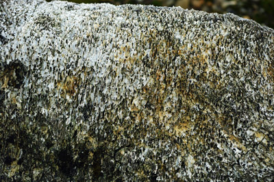 Gashamna, Hornsund, Whale Bones - 10