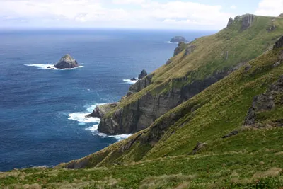 Campbell Island view