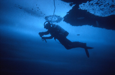 Antarctic Ice Diving 10