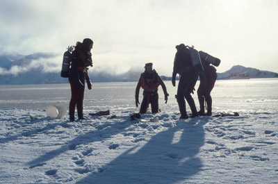 Antarctic Ice Diving 4