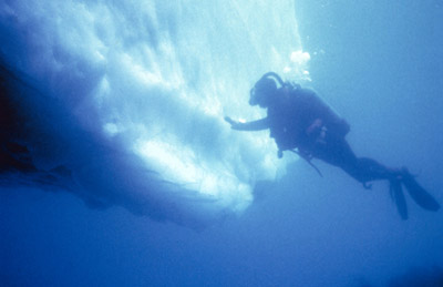 Antarctic Ice Diving 8