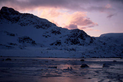 Jane Peak, Signy Island 4