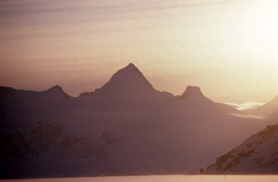 Yellow Nunataks