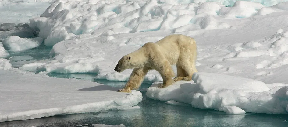 spitsbergen